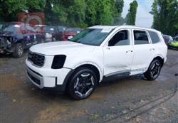 كيا تيلوريد